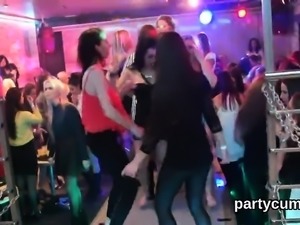 Nasty kittens get totally crazy and nude at hardcore party