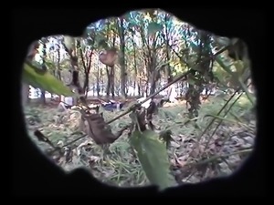 2 Lesbenfotzen im Wald heimlich gefilmt-krass!