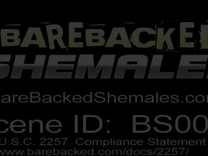 Shemale Babe Getting Her Tight Ass Bareback