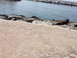 voybeach
