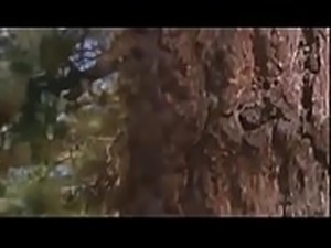 Forest hard sex video
